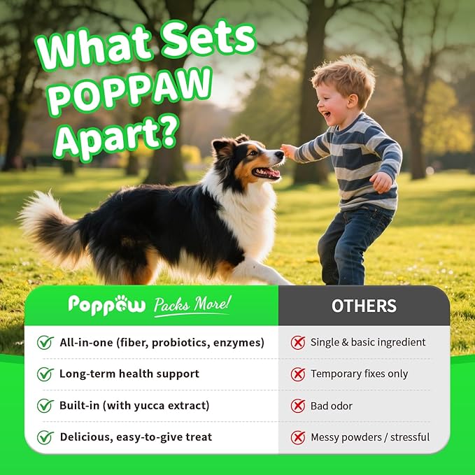 Premium Dog Digestive Enzymes and Probiotics with Pumpkin for Gut Health Support - Daily Chews for Digestion & Gas Relief - Chicken Flavor-90 Count-Mewly Pet