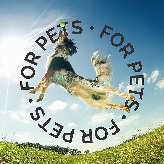 Bark2Basics Oatmeal Conditioner, Gallon - Natural Ingredients, Moisturizing, Hydrating, Crafted with Colloidal Oatmeal, Relieves Dry Itchy Irritated Skin, Coconut Fragrance-Mewly Pet