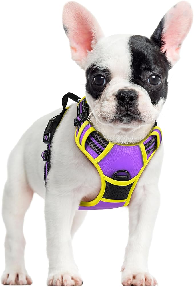 rabbitgoo Dog Harness No Pull with 2 Leash Clips, Adjustable Soft Padded, Reflective Oxford No Choke Pet Vest with Easy Control Handle for Small Dogs, Purple & Yellow, S-Mewly Pet