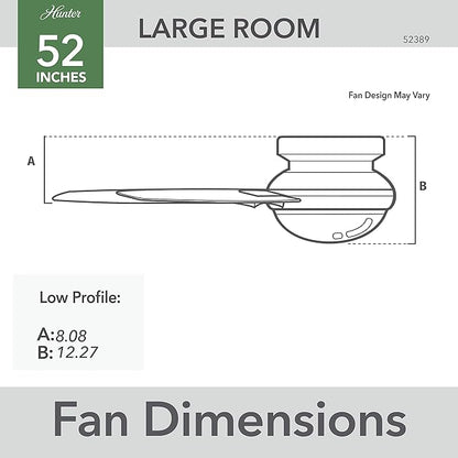 Hunter 52389 Dempsey Ceiling Fan 52 inches Matte Black