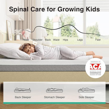 Novilla Full Mattress, 6-Inch Gel Memory Foam Mattress for Cool Night Sleep & Pressure Relief, Medium Firm Full Size in a Box, Bliss