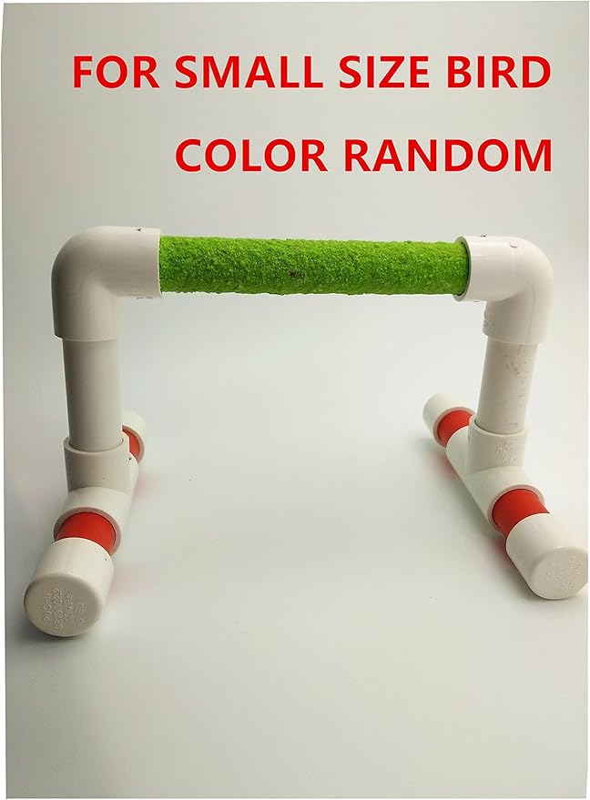 Hypeety Small Bird Parrot Stand Perch Table Top Stand Playground Grind Perch Swing Training Playstand Exercise Chew Toys for Budgies Parakeet Cockatiel Conure Finch (Perch, M)-Mewly Pet