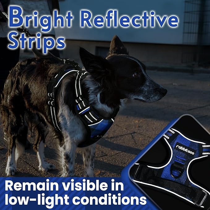 rabbitgoo Dog Harness No Pull with 2 Leash Clips, Adjustable Soft Padded, Reflective Oxford No Choke Pet Vest with Easy Control Handle for Large Dogs, Blue Plaid, XL-Mewly Pet