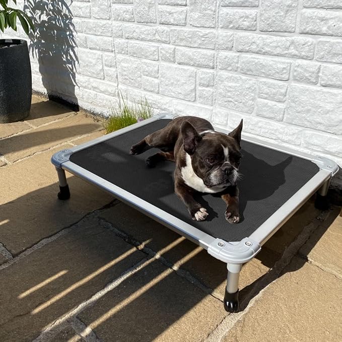 Veehoo Chew Proof Elevated Dog Bed - Cooling Raised Pet Cot - Silver Aluminum Frame and Durable Textilene Mesh Fabric, Unique Designed No-Slip Feet for Indoor or Outdoor Use, Black, Medium, CWC2003-Mewly Pet
