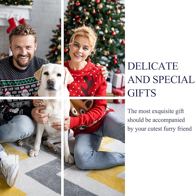 3-Pack Indestructible Nylon Dog Chew Toys for Aggressive Chewers - Long-Lasting Durable Bone-Shaped Toys, Large Breed Dogs, Tough Puppy Teeth Enrichment-Mewly Pet