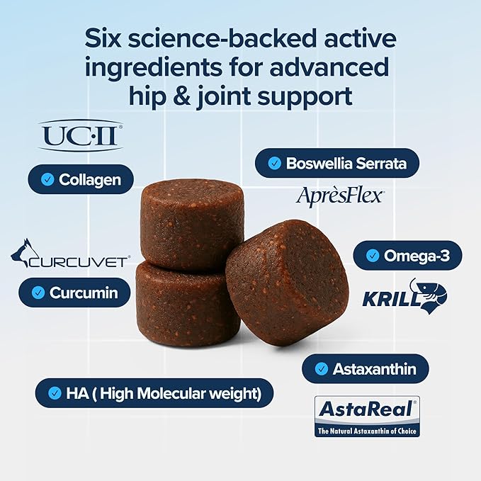 PupFlex+ Hip and Joint Supplement Dogs, Vet Created Soft Chews with UC-II® Collagen for Dogs, CurcuVET® & Omega 3, Proven More Effective Than Glucosamine Chondroitin, Dog Joint Supplement (60 ct)-Mewly Pet