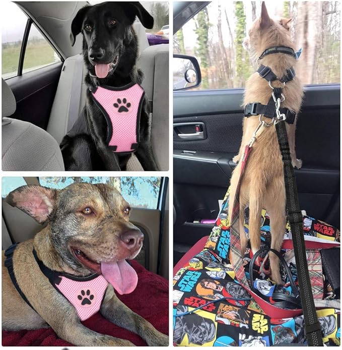 SlowTon Dog Seat Belt Harness for Car, Dog Car Harness Adjustable Mesh Breathable & Dog Seatbelt Safety Tether with Elastic Bungee for Small Medium Large Pets(Pink, Single Clip, S)-Mewly Pet