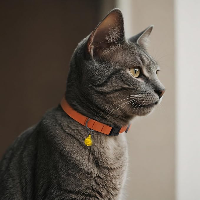 Breakaway Cat Collar Leather with Removable Bell - 13 Colors Available - Soft Adjustable Girl Boy Safety Lightweight Pet Kitten Collars Pink Brown Blue Green Red Orange Black (Aquamarine)-Mewly Pet