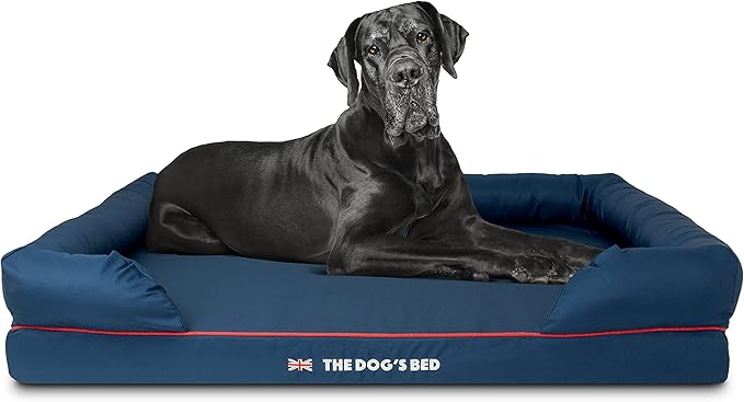 The Dog’s Bed Orthopedic Dog Bed XXL Blue Oxford with Red Trim UK Flag Dog Bed 51.5x39, Memory Foam, Pain Relief: Arthritis, Post Surgery, Lameness, Veterinary Approved, Waterproof Washable Cover-Mewly Pet