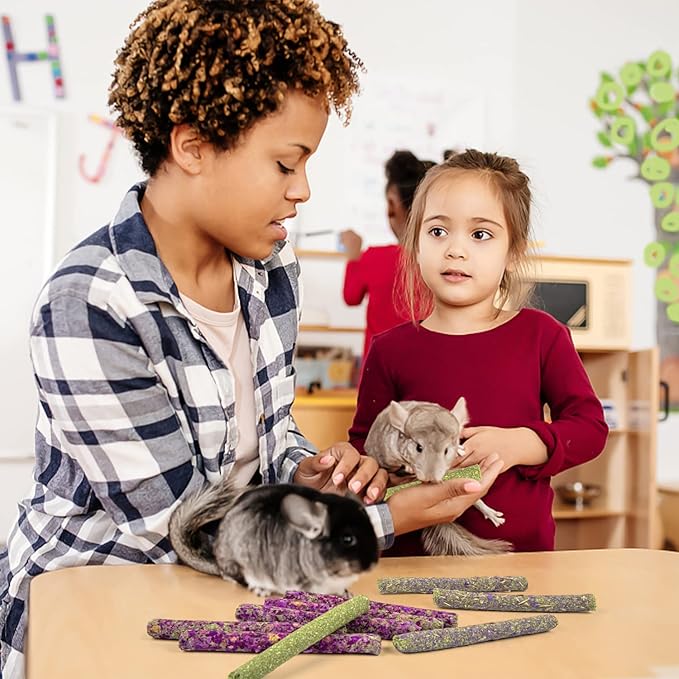 Sofier Timothy Hay Treats Rabbit Toys Bunny Toys Guinea Pig Hamster Natural Chews for Teeth Handmade Rabbit Chews and Treats Chinchilla Rat Gerbil-Mewly Pet