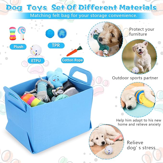 65 Pcs Puppy Supplies Starter Kit Small Dog Essentials Includes Dog Leash, Toys, Bowl, Brushes, Water Bottles, pet Blankets Puppy Accessories for New Welcome Gift Supplies(Cool,Blue)-Mewly Pet