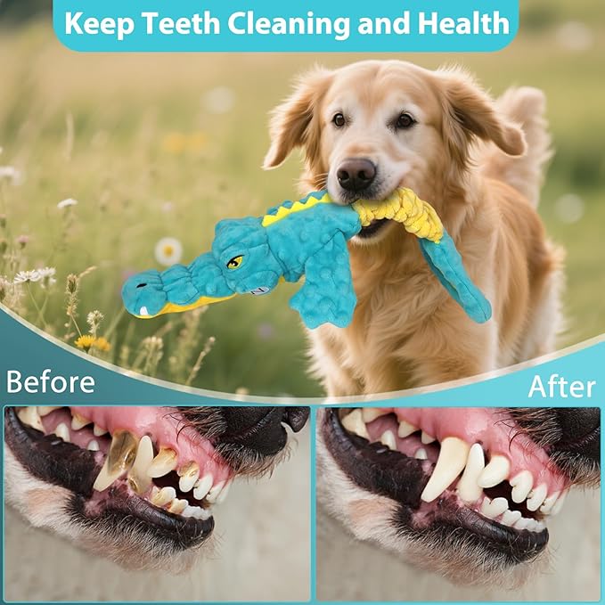 Dog Toys Cute Alligator Dog Toy Tough Plush Puppy Toy for Playtime, Training & Tug of War- Interactive Squeaky & Crinkle Chew Toy for Small to Large Dogs-Mewly Pet