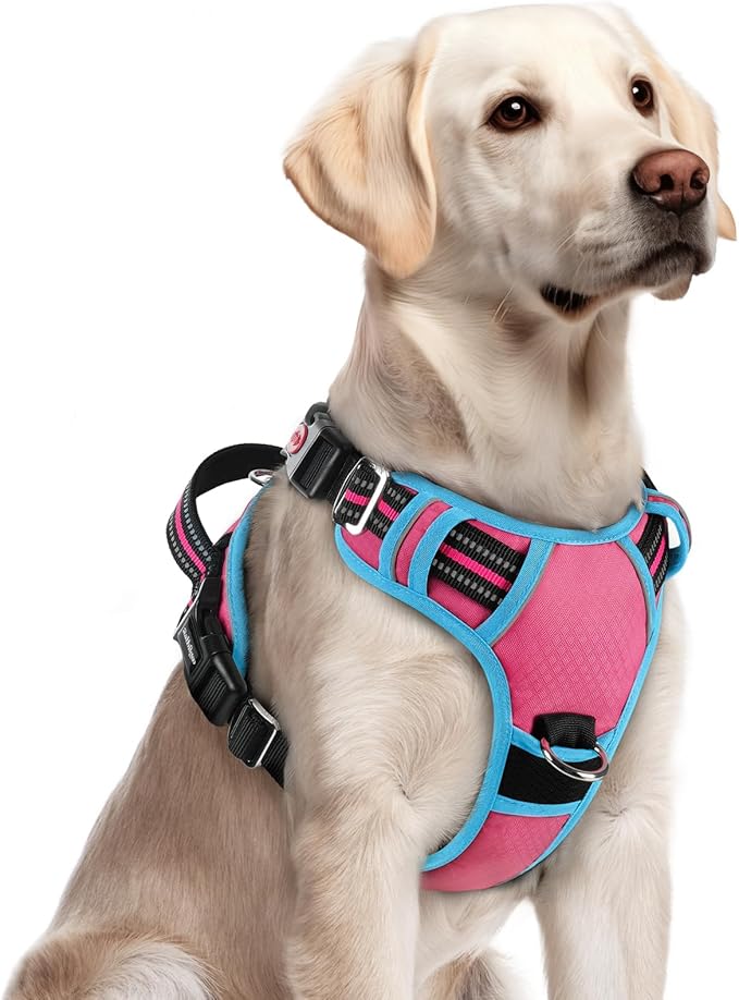 rabbitgoo Dog Harness for Large Dogs, No Pull Pet Vest with 3 Buckles, Adjustable Soft Padded Pet Harness with Easy Control Handle and Reflective Strips, Rose Pink & Blue, L-Mewly Pet