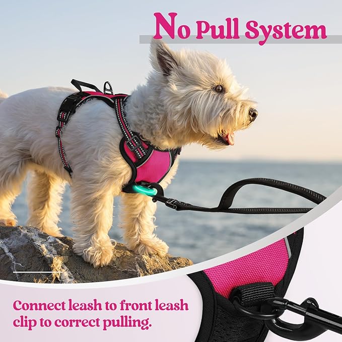 rabbitgoo Dog Harness No Pull with 2 Leash Clips, Adjustable Soft Padded, Reflective Oxford No Choke Pet Vest with Easy Control Handle for Puppy, Hot Pink, XS-Mewly Pet