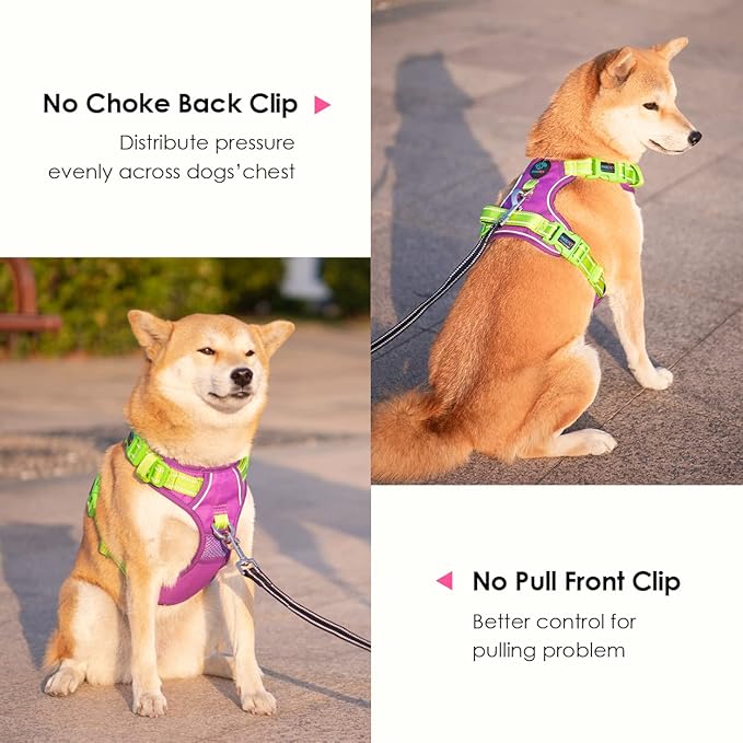 PHOEPET No Pull Dog Harness, Unique Colors Reflective Adjustable Dog Vest, with Soft Training Handle Metal Clips for Small Medium Large Dogs (Purple Base & Green Straps,XS)-Mewly Pet