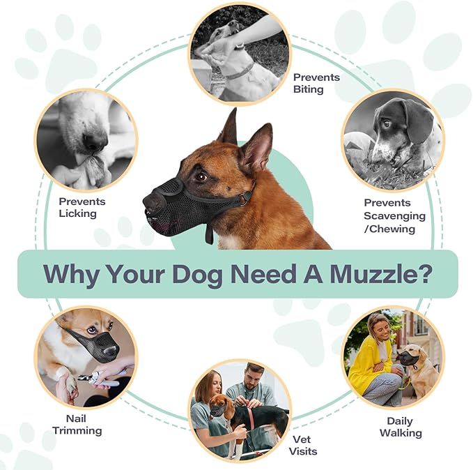 LUCKYPAW Dog Muzzle for Large Medium Small Dogs, Patented Mesh Muzzle to Prevent Biting Chewing Eating, Soft Mouth Guard with Front Opening Design for Drinking Panting(Black, M)-Mewly Pet