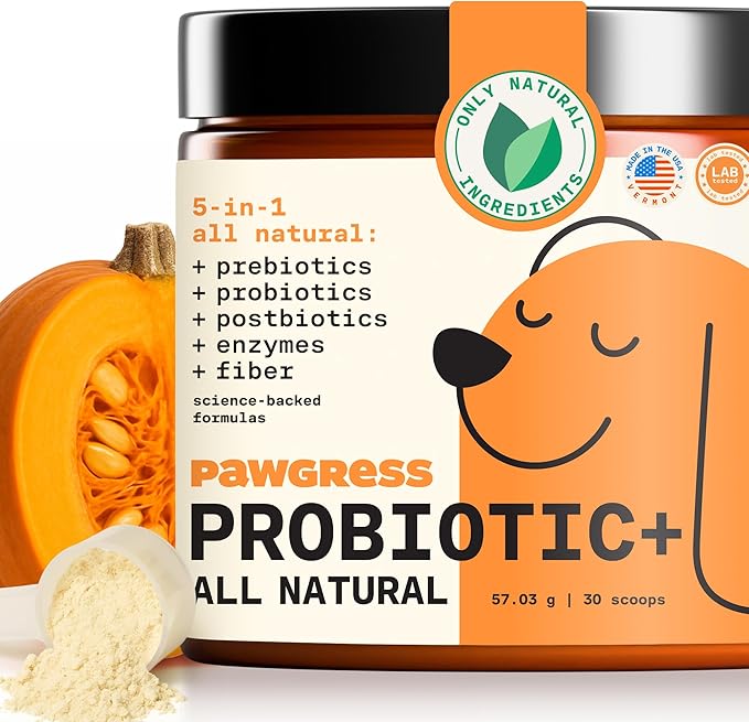 5-in-1 Dog Probiotic Powder – 100% Natural Gut Health Support with Prebiotics, Postbiotics & Enzymes – Crafted by Dog Nutritionist Kayla Kowalski, Made in USA – 30 Scoops-Mewly Pet