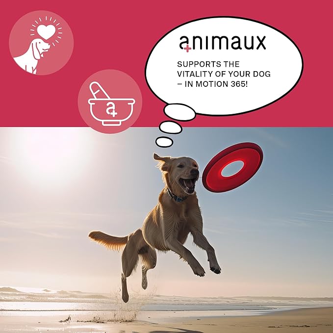 animaux – in Motion 365 for Dogs, Joints, Bones, Mobility, Ligaments and Tendons, Green-Lipped Mussel, Willow Bark and Devil’s Claw, Natural Pain Relief, 60 Chewable Tablets, 60 Days Supply-Mewly Pet