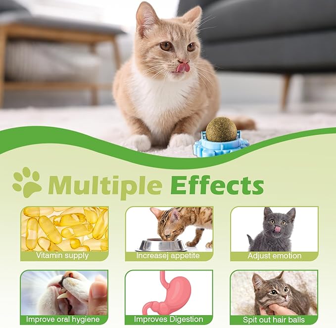 360° Catnip for Cats Wall Catnip Rollerball Licking Ball Cat Nips Mint Magic Cat Stick on Wall Crack Balls Lickable Play Chew Teeth Cleaning Pet Chew Indoor Outdoor-Mewly Pet