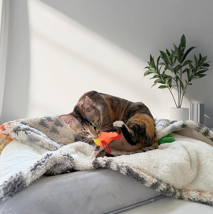 Catnip Cat Toy, 2 Pack Chicken Bird Interactive Chew Kicker Toys, cat Toys for Indoor Cats, Boredom Relief Kitten Exercise, Soft Durable for All Breed-Mewly Pet