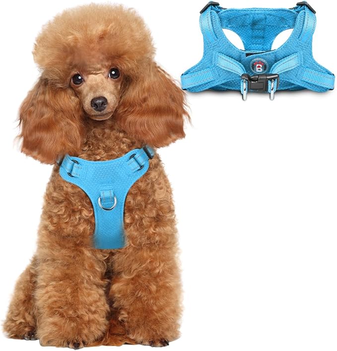 Dog Harness Step in Dog Vest Harness, Reflective Adjustable Puppy No Pull Harness Breathable Soft for Small and Medium Dogs Cats, Blue, XS-Mewly Pet