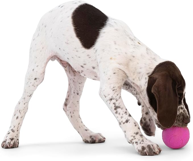 WEST PAW Boundr Ball Dog Fetch Toy – Bouncing Toys for Dogs, Fetch, Catch, Chewing, Play – Floatable, Recyclable Balls – Small Hot Pink/Aqua Blue 2-Pack-Mewly Pet