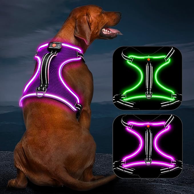 Light Up Dog Harness, No Pull LED Dog Harness with Handle, Rechargeable Lighted Safety Vest for Small Medium Large Dogs, Adjustable Soft Dog Lights for Night Walking-Mewly Pet