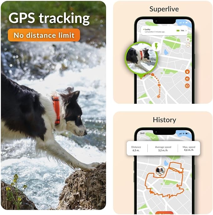 Weenect Dog XT - New GPS Collar for Dogs | XL Antenna | Waterproof | Ultra-Durable Integrated Julius-K9 Collar | Subscription Required-Mewly Pet
