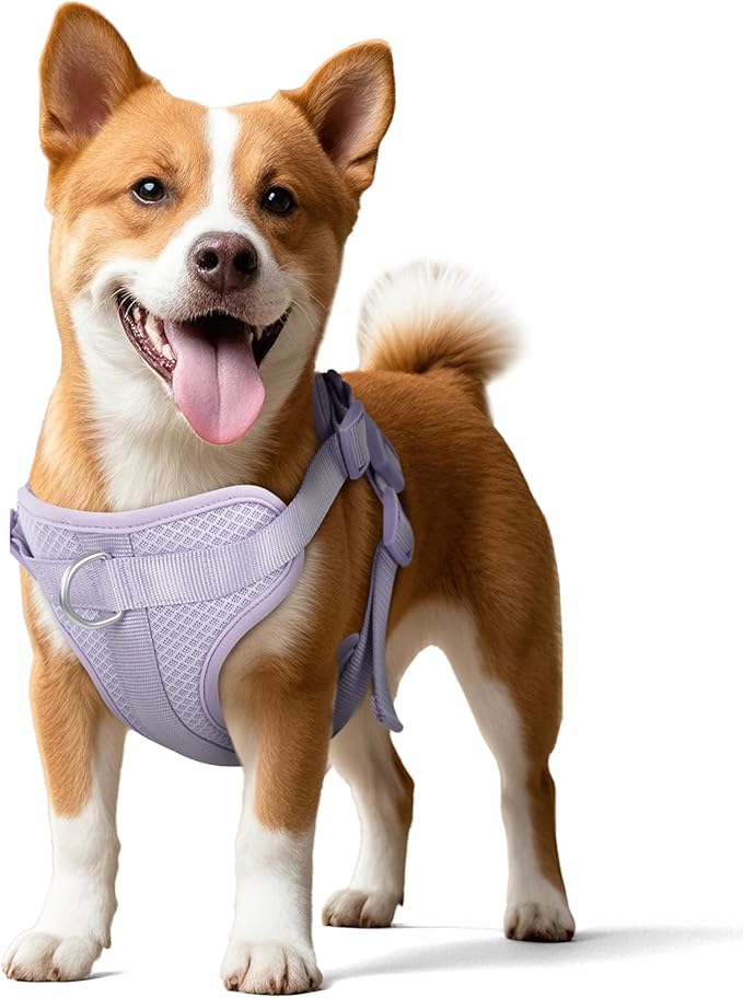 Wisedog Mesh Breathable Dog Harness: No Pull Harness with 3 Fast-Release Buckles Adjustable for Walking & Training for Small Medium Large Dogs (Lilac, M: Neck=17"-22"/Chest=15"-28")-Mewly Pet