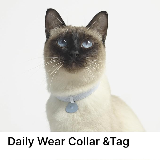 Safety Cat Collar and ID Tag Set - Elastic Quick Release, Non Breakaway Cat Collar Personalized Anodized Aluminum Engraved Pet Name Tag, Lightweight for Kitten Small Large Cats-Mewly Pet