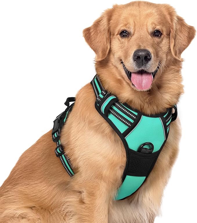 rabbitgoo Dog Harness No Pull with 2 Leash Clips, Adjustable Soft Padded, Reflective Oxford No Choke Pet Vest with Easy Control Handle for Large Dogs, Turquoise, XL-Mewly Pet