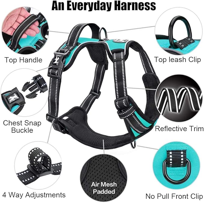 PoyPet No Pull Dog Harness, Reflective Comfortable Vest Harness with Front & Back 2 Leash Attachments and Easy Control Handle Adjustable Soft Padded Pet Vest for Small to Large Dogs (Mint Blue,L)-Mewly Pet