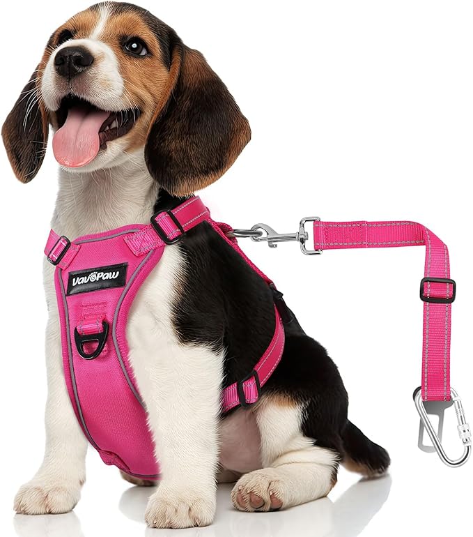 Dog Seat Belt Harness for Car, Dog Car Harness Adjustable Mesh Breathable & Dogs Seatbelt Safety Tether with Elastic Bungee for Small Medium Large Pets(Rose, S)-Mewly Pet