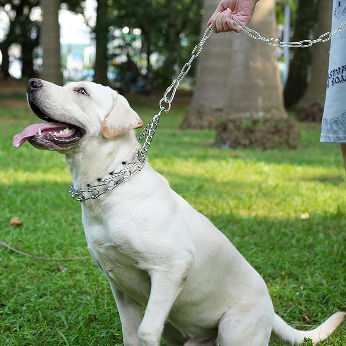 25ft Dog Chains for Outside - Heavy Duty Tie Out Chain Leash Great for Small to Large Dogs Up to 200Lbs - Chew Proof Long Chain for Yard Camping or Travel-Mewly Pet