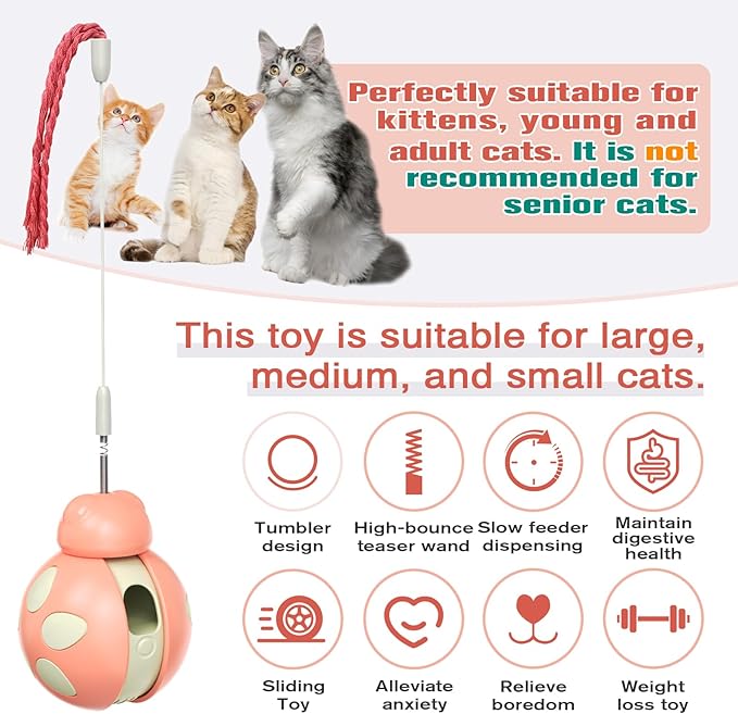 Cat Treat Interactive Toy, Indoor Puzzle Slow Feeding Mental Stimulation Sliding Rolling Cat Toy Ball with Ca-t Teaser, Cats Treat Dispenser Toy for Large, Medium and Small Cats (Pink, ladybug)-Mewly Pet
