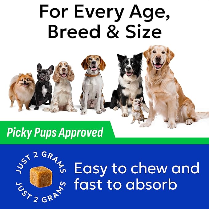 BARK&SPARK Green Grass Chews - Pee Grass Spot Saver Caused by Dog Urine - Urine Neutralizer for Lawn, Gut Health Probiotics & Digestive Enzymes,Lawn Burn from Dog Urine, Grass Burn Spot Chews, Rocks-Mewly Pet