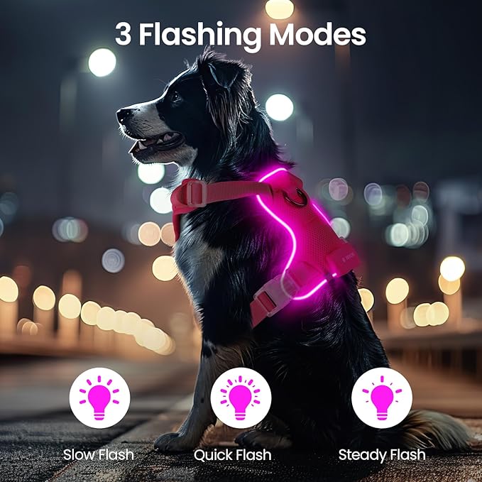 Light Up Dog Harness,Reflective Pet Harness Rechargeable,Led Dog Vest Harness for Night Walking,Adjustable Dog Safety Vest for Small Medium Large Dogs-No Pull,Pink,M-Mewly Pet