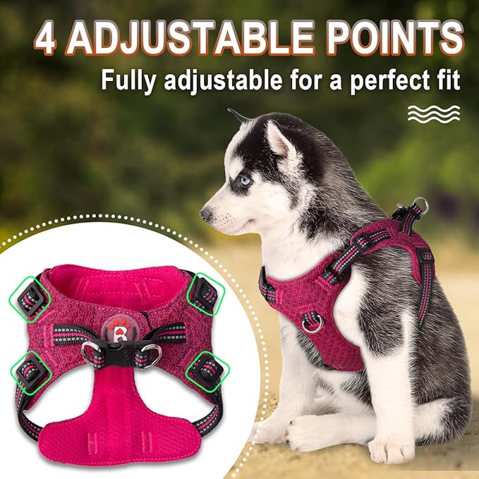Dog Harness Step in Dog Vest Harness, Reflective Adjustable Puppy No Pull Harness Breathable Soft for Small and Medium Dogs Cats, Pink/Black, XS-Mewly Pet