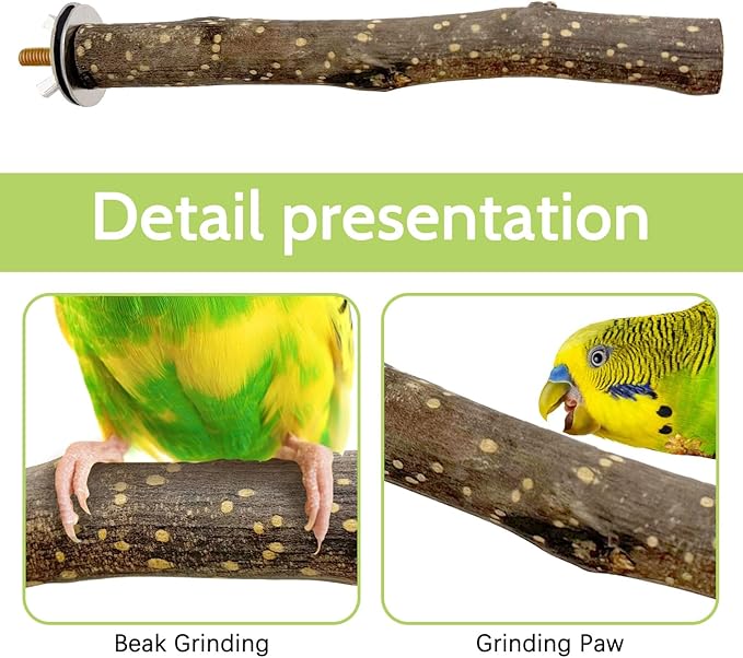 BNOSDM Natural Wood Bird Ladder Perch 6Pcs Parrot Stand Branches Climbing Chewing Stick Parakeet Swing Toys Cage Accessories Paw Grinding Fork Sets for Lovebirds Cockatiels Conure Budgies-Mewly Pet