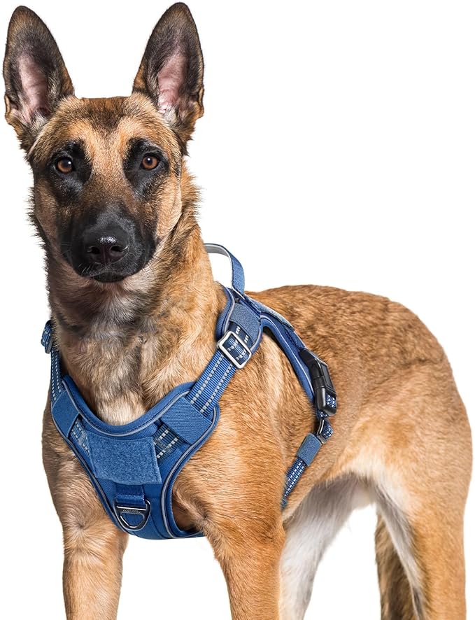rabbitgoo Dog Harness for Large Dogs No Pull, Tactical Service Pet Vest with Molle and Control Handle, Adjustable and Reflective Military Harness for Easy Walking and Training, Blue, XL-Mewly Pet