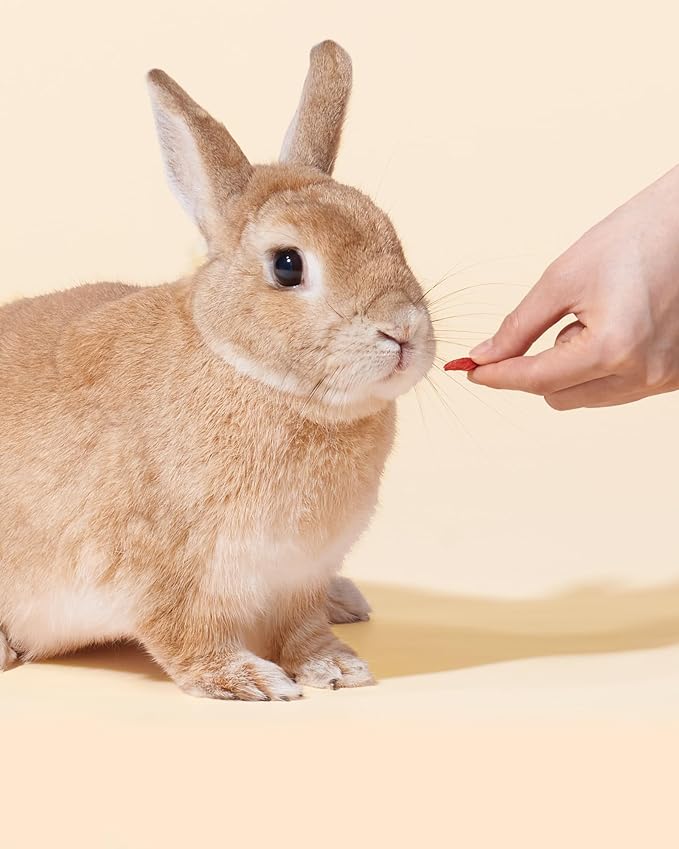 Niteangel Goji Berries Rabbits Snack Treats: 12pcs Natural Chew Toys for Bunny Chinchilla Guinea Pigs and Other Small Animals-Mewly Pet