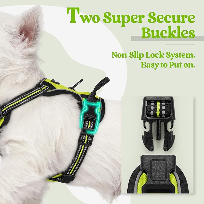 rabbitgoo Dog Harness No Pull with 2 Leash Clips, Adjustable Soft Padded, Reflective Oxford No Choke Pet Vest with Easy Control Handle for Puppy, Green, XS-Mewly Pet