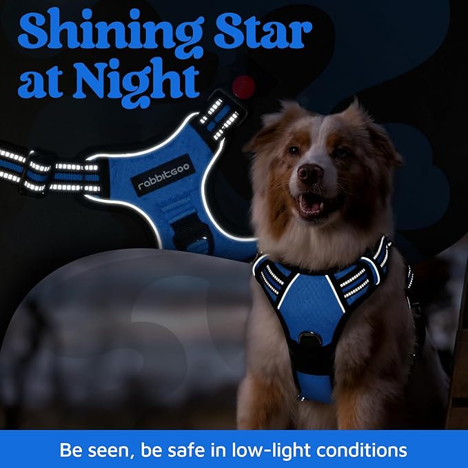 rabbitgoo Dog Harness Small Sized, No Pull Dog Vest with 3 Buckles, Adjustable Soft Padded Pet Harness with Easy Control Handle and Reflective Strips, Blue, S-Mewly Pet