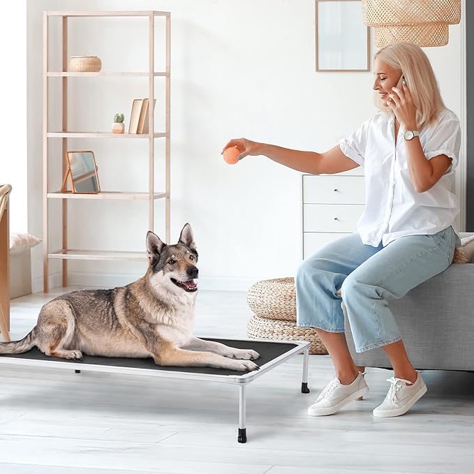 Veehoo Chewproof Elevated Dog Bed - Cooling Raised Pet Cot, Breathable Mesh, Washable & Non-Slip for Large Dogs, Indoor/Outdoor, Black Mat and Silver Metal Frame, 49x33inches (Model CWC2203B03)-Mewly Pet