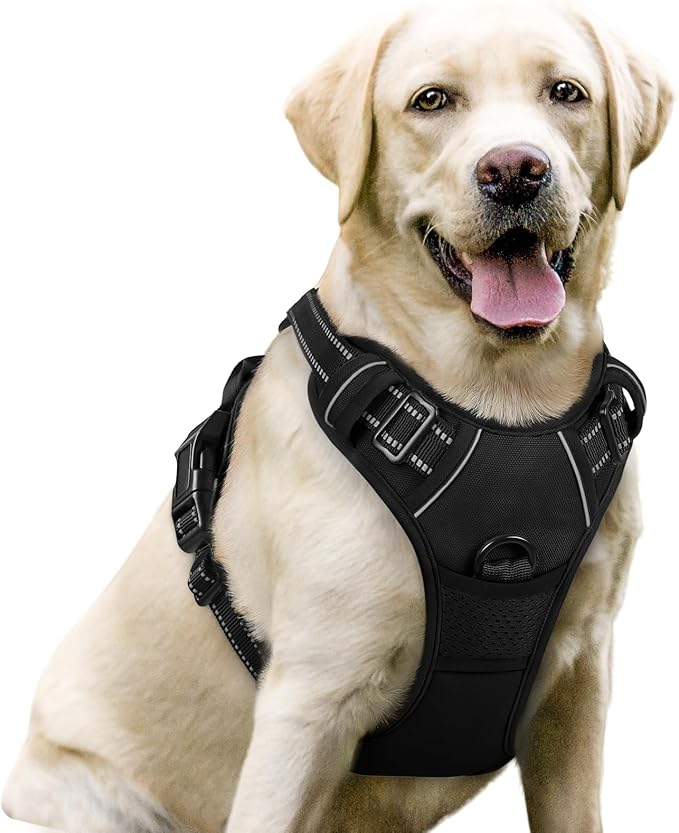 rabbitgoo Dog Harness No Pull with 2 Leash Clips, Adjustable Soft Padded, Reflective Oxford No Choke Pet Vest with Easy Control Handle for Large Dogs, Black, L-Mewly Pet