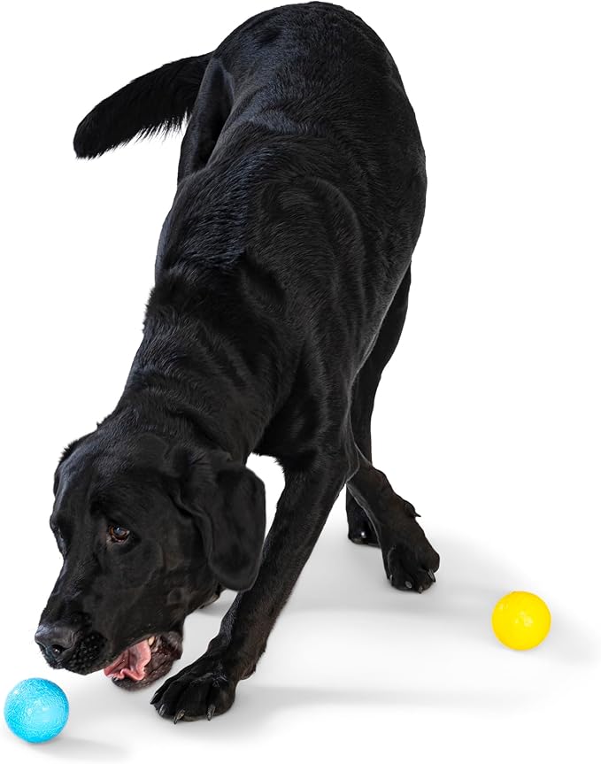 WEST PAW Boundr Ball Dog Fetch Toy – Bouncing Toys for Dogs, Fetch, Catch, Chewing, Play – Floatable, Recyclable Balls – Small Aqua Blue/Dandelion Yellow 2-Pack-Mewly Pet