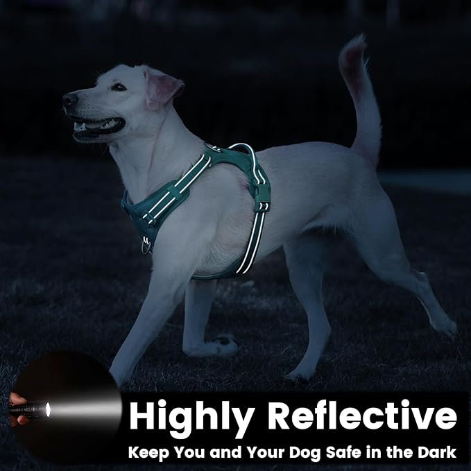 No Pull Dog Harness, Reflective Puppy Vest for Small Medium Large Sized Dog(MARRS Green,S)-Mewly Pet