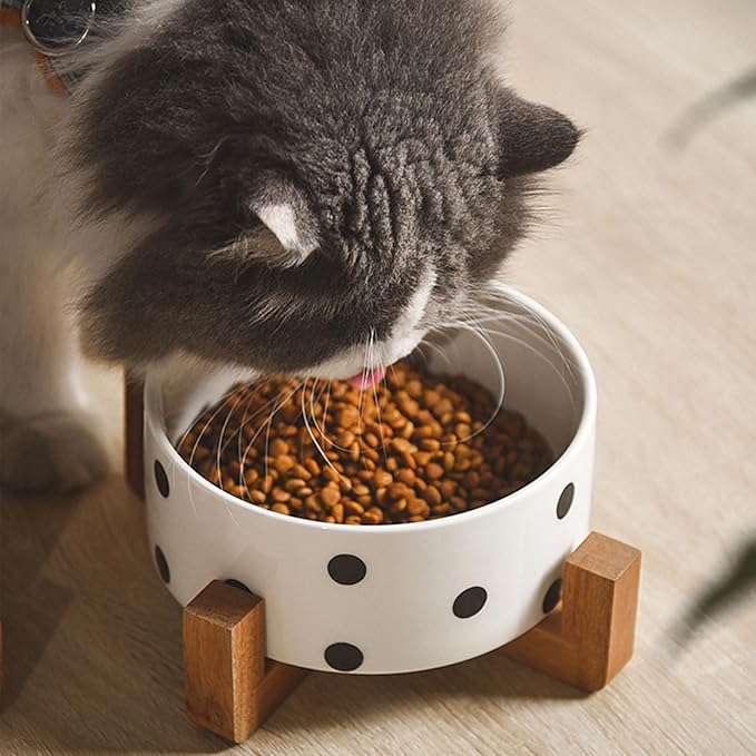 Petygooing Ceramic Dog Bowl Set with Stand - Cat & Dog Food and Water Bowl, Medium Size - Anti-Slip, 28 OZ / 3.6 Cups, Black Dot-Mewly Pet