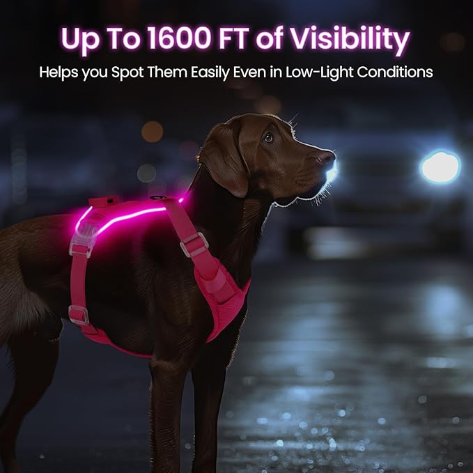 Light Up Dog Harness,Reflective Pet Harness Rechargeable,Led Dog Vest Harness for Night Walking,Adjustable Dog Safety Vest for Small Medium Large Dogs-No Pull,Pink,M-Mewly Pet