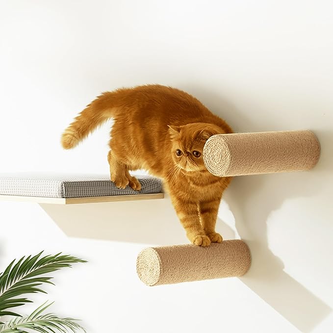 2-Pack Sisal Wall-Mounted Cat Climbing Wall Steps, Cat Wall Steps/Stairs with Sisal Scratching Surface, Wall Shelf Furniture for Climbing & Play for Kittens & Cats, Hidden Mounts-Mewly Pet